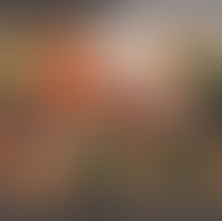 5 Tips to Change Your Diet Without Creating Restriction