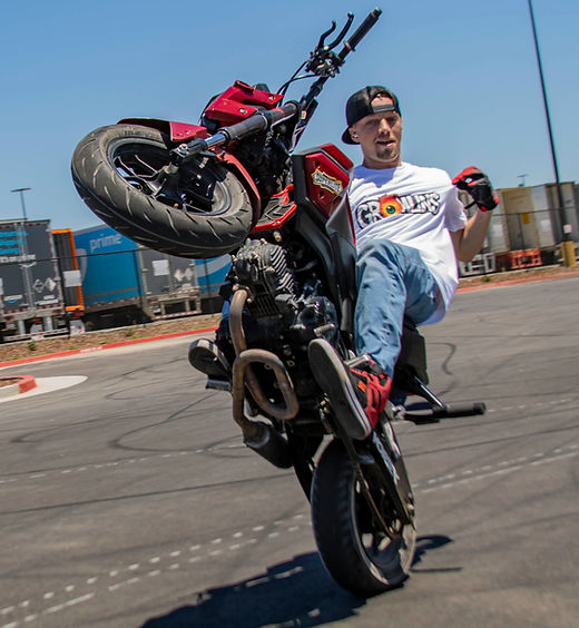 Hawk Wheelie