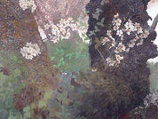 第10回　郷さくら美術館　桜花賞展2023.3.7-5.14