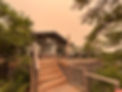 IMG_8315.jpeg