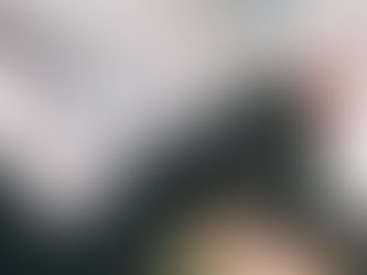 Taking Out Brave and Fear in Tracking Trillions in Public Expenditure