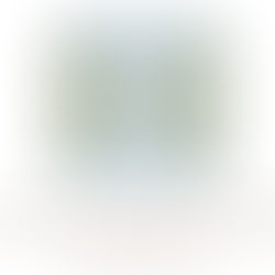 Arbitrážní a mediační centrum WIPO – zkušenosti ze zahraničí