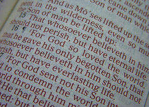 macro of bible verse John 3_16.jpg