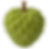 CUSTARD APPLE