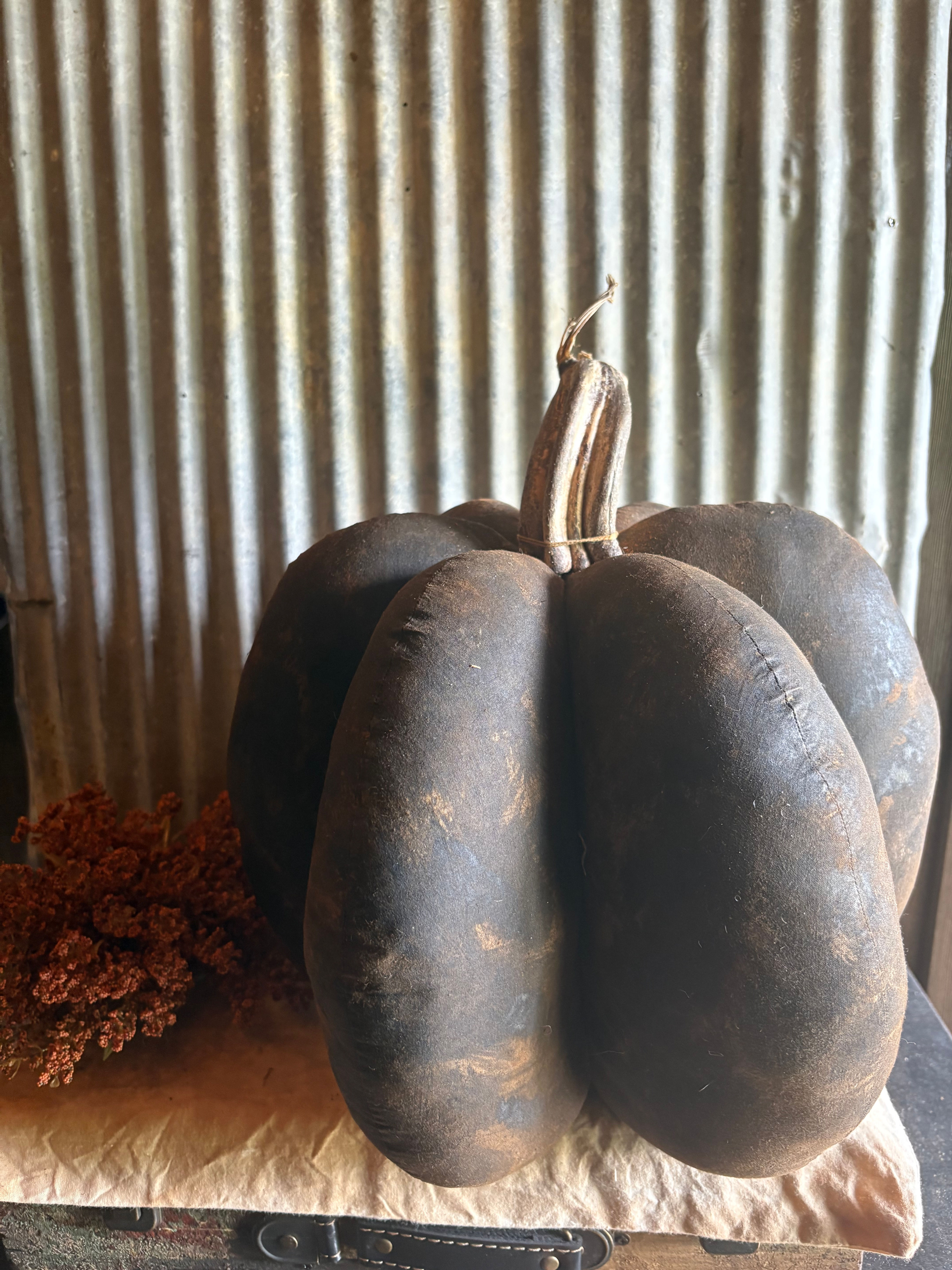 #RP26F-5b Extra Extra Large Black Pumpkin