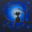 Moonlight Meow