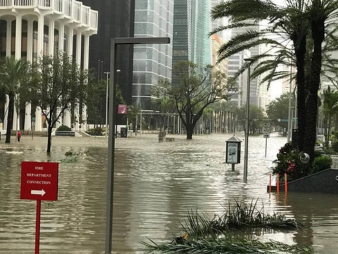 Brickell flooded (Miami Herald).jpeg