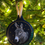 Thumbnail: Donkey Ornament