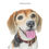Thumbnail: Pet Portrait Gift Certificate