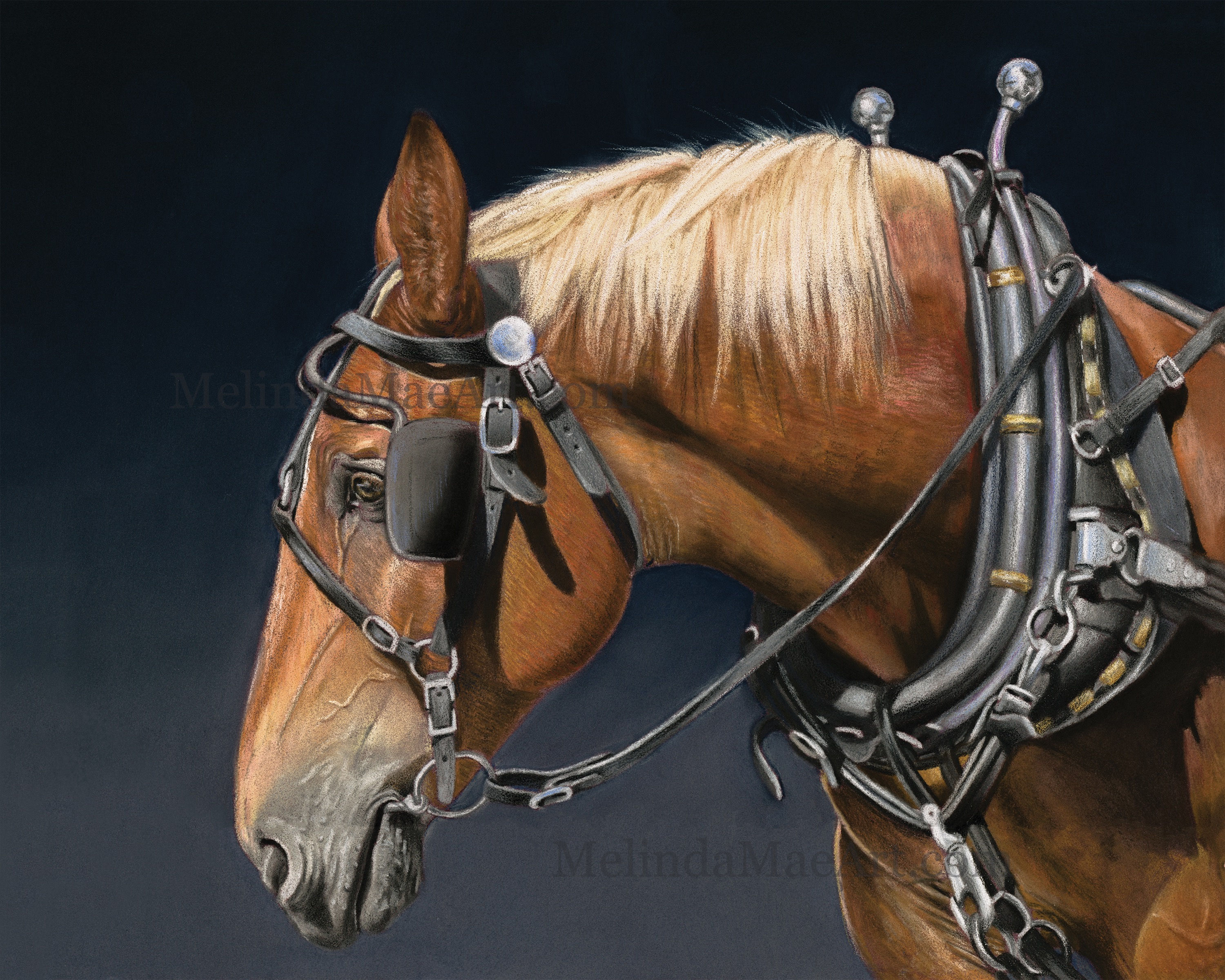 The Heart of Mackinac