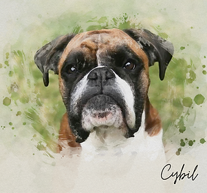 Cybil.png