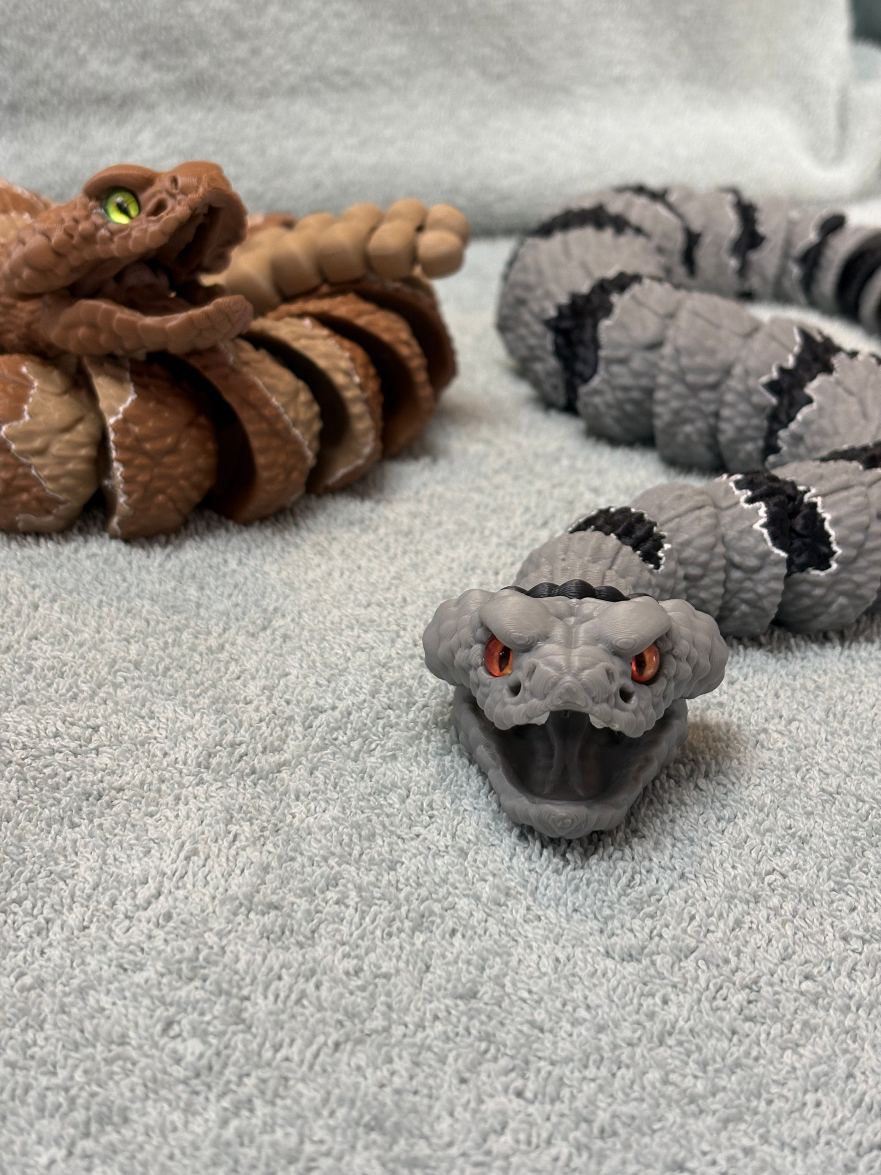 Banded Rattlesnake