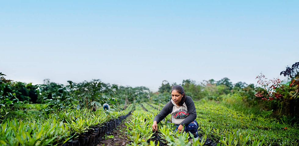 Nursery Female Worker-Recovered 3_edited.jpg