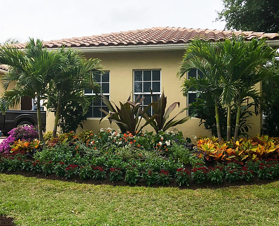 curbappeal-after-butterflies-are-free-landscaping-design.jpg