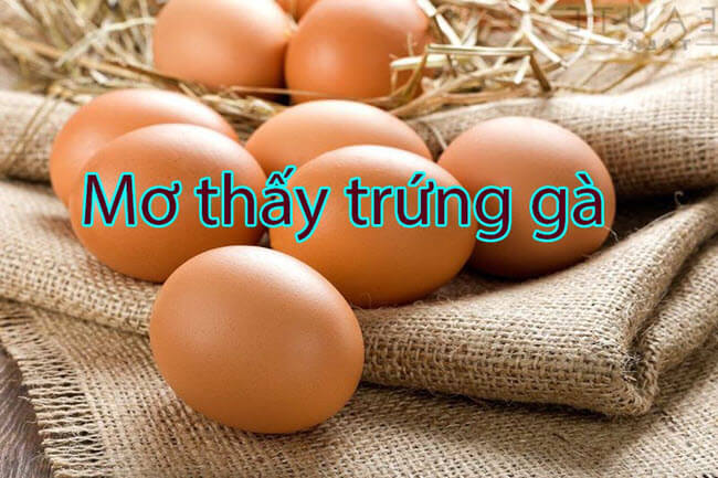 Giải mã giấc mơ thấy trứng gà? content media