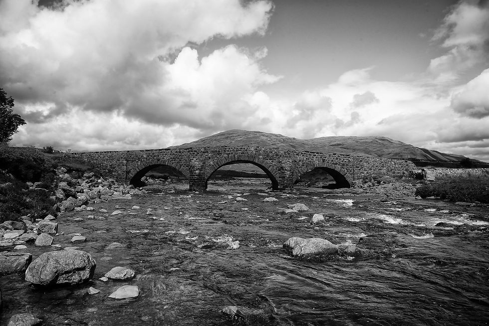 bridge2015_s1bw
