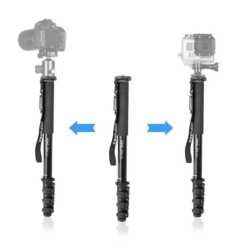 الصورة المصغرة: Kingjoy MP408F DSLR Video Kamera Monopod