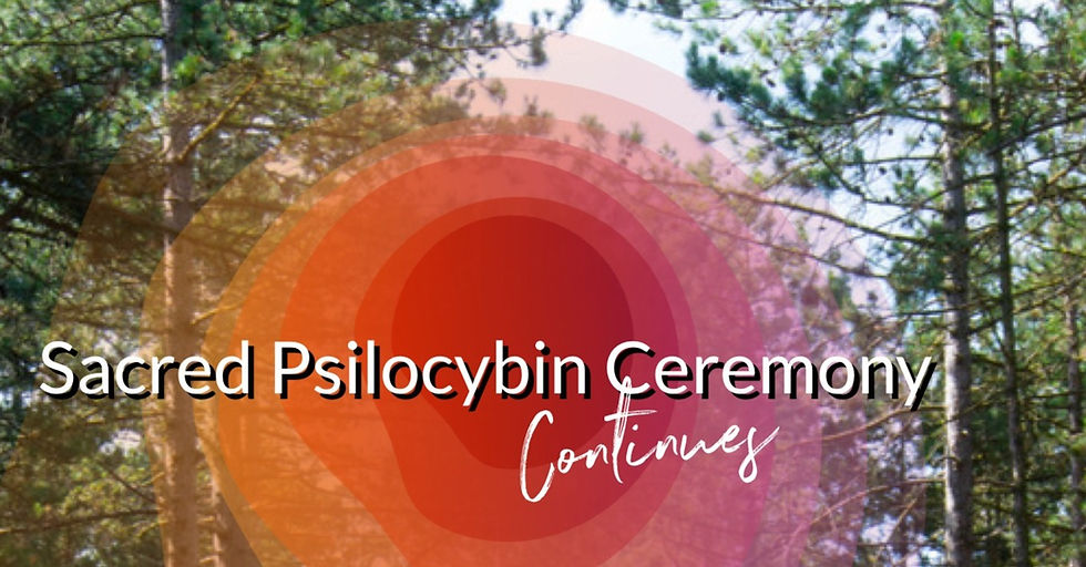 A new path & the Tam Tam - March '24