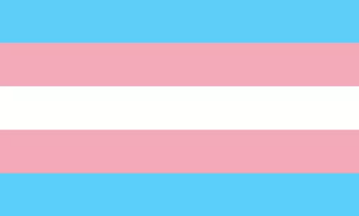 bandeira orgulho trans