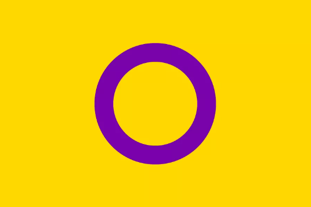 bandeira do orgulho intersexo
