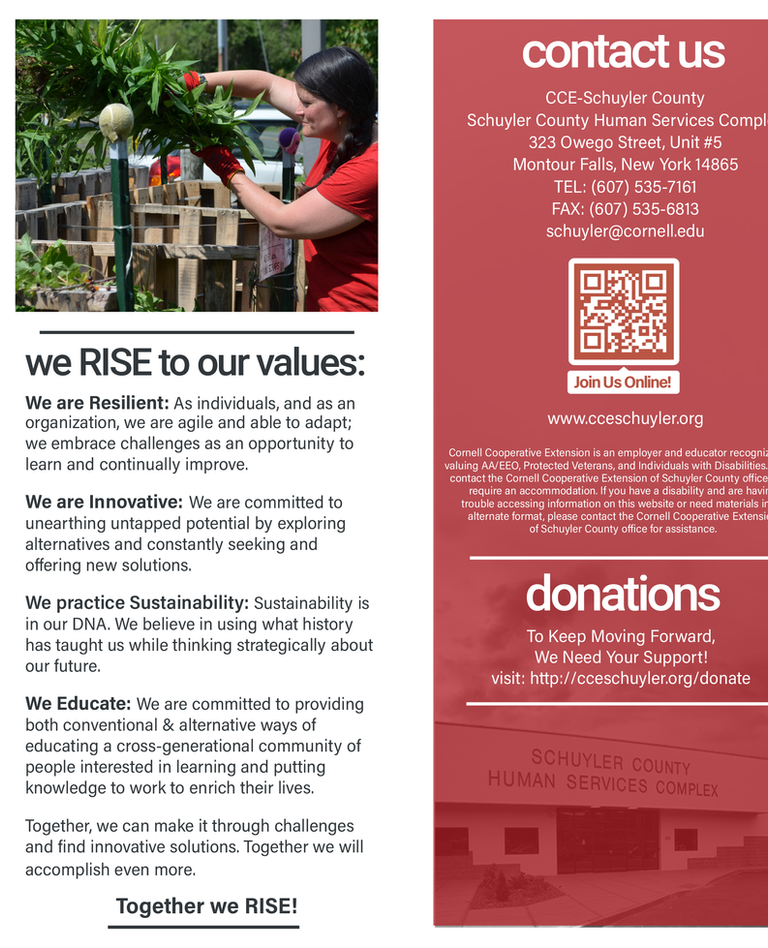 CCE Brochure 2022-1.png