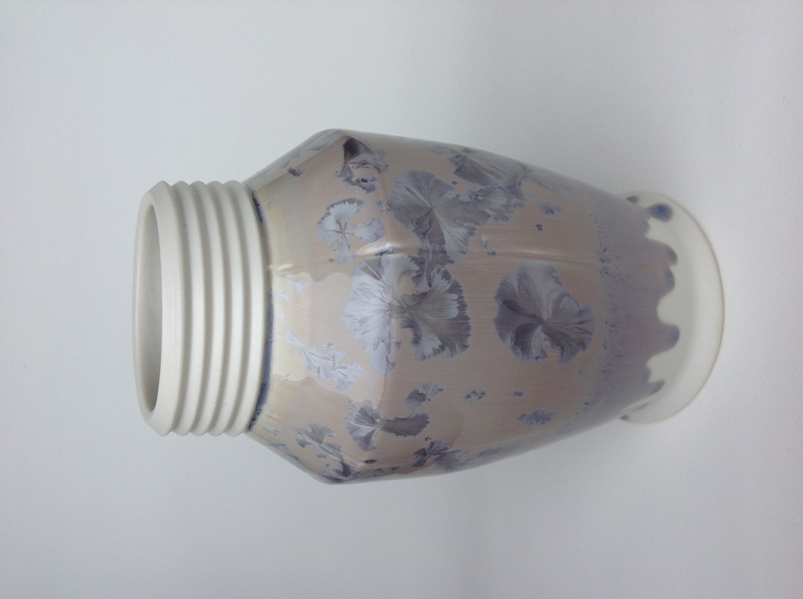 ribbed neck vessel