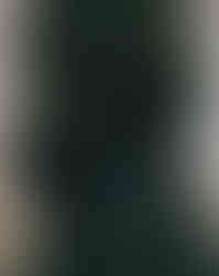 DIEMM_GUERNICA_2025 (5).jpg