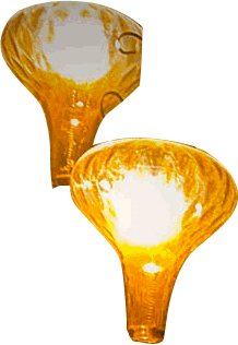 Lights-Flash.gif