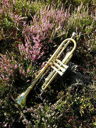 Trompete.jpg