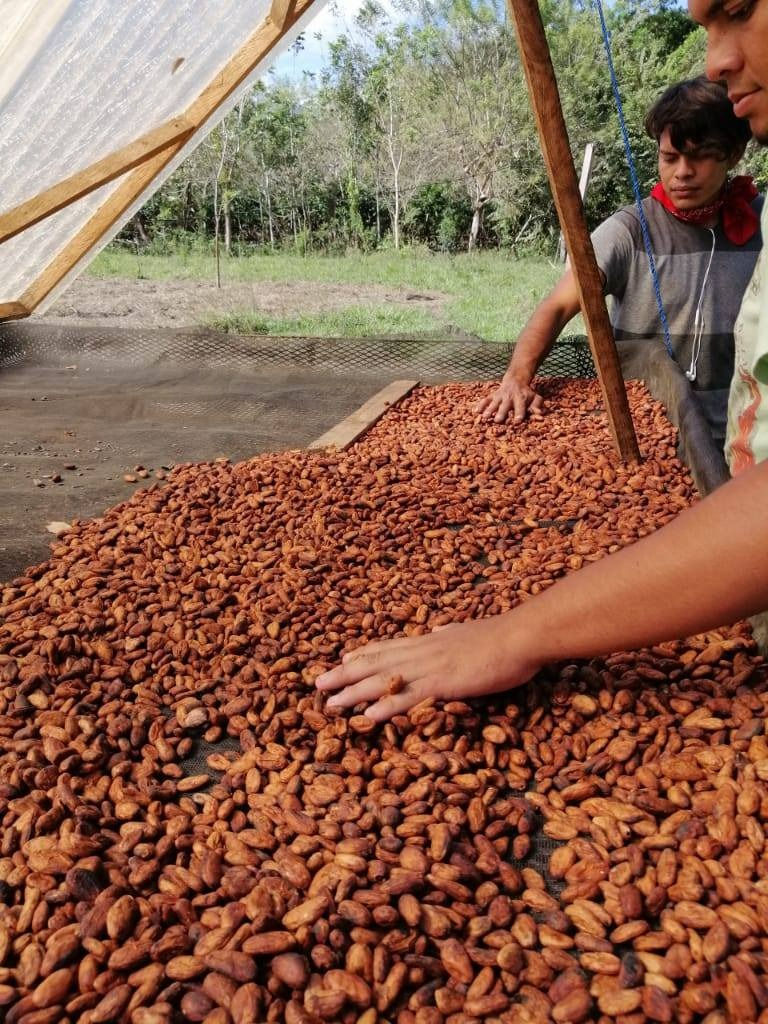 Thumbnail: El Gualiqueme® - Cacao en Grano Seco - 1Lb.