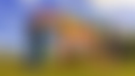 La scuola: luogo prioritario di educazione alla pace