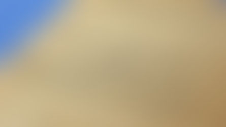 LA LAICITÀ DELLO STATO TRA IRC ED EDUCAZIONE CIVICA