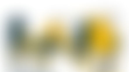 ABITARE LA CITTÀ.<br>La cittadinanza attiva in prospettiva antropologica