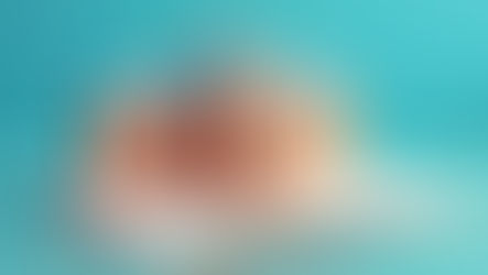 La Governance dell’Istruzione