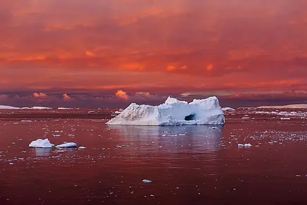 McKibben-Camille Seaman_Antarctica_2016.jpg.webp