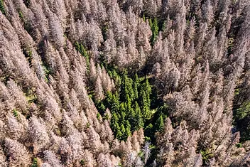 gettyimages-1212154559.jpg.webp