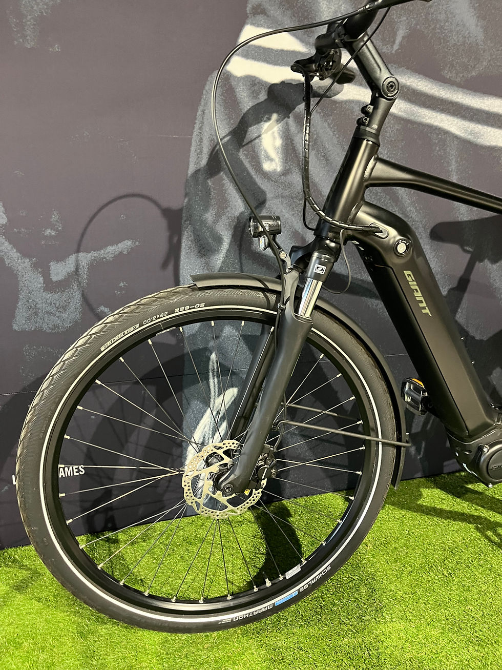 Thumbnail: GIANT DailyTour E+2 LARGE 500Wh 2022