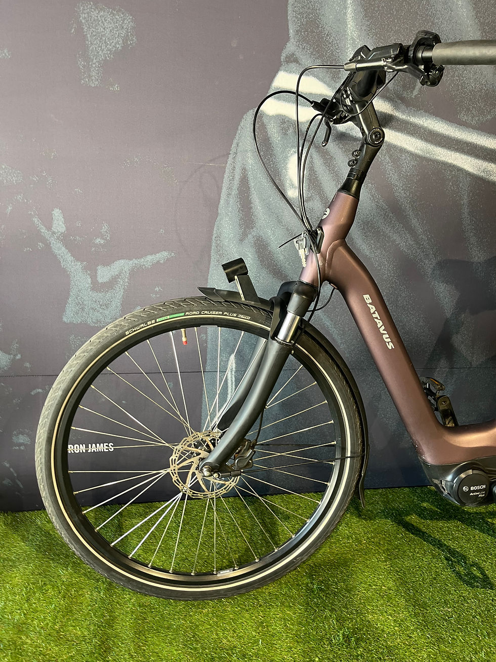 Thumbnail: BATAVUS Finez E-Go - 500Wh - MEDIUM 53 - 2022 -RIEM