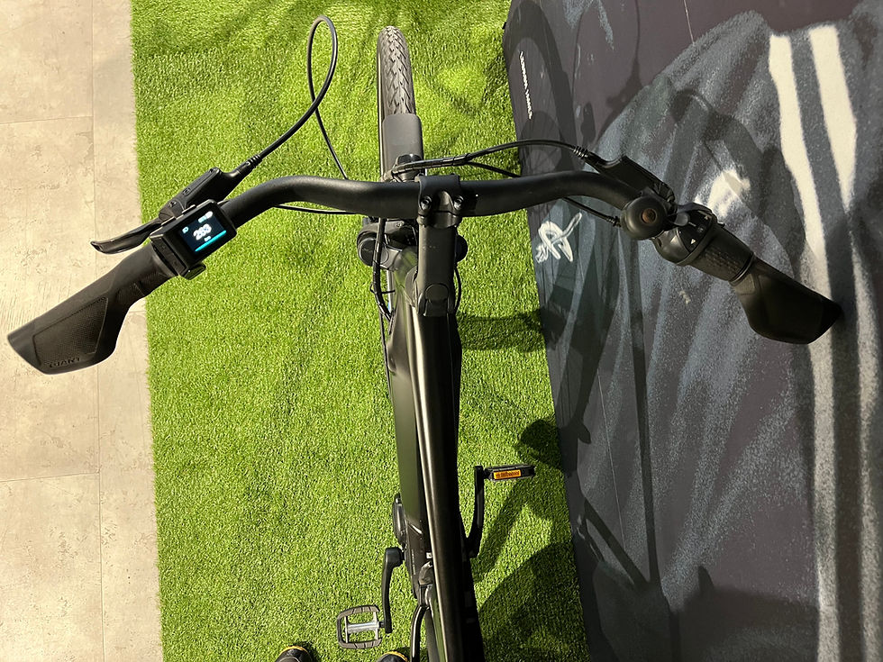 Thumbnail: GIANT DailyTour E+2 LARGE 500Wh 2022