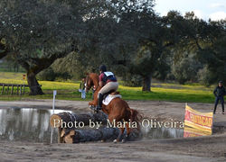 Mª Perestrelo12.jpg