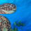 Thumbnail: Ka'anapali Turtle