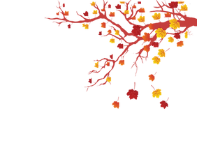 C%C3%B3pia%20de%20%5Bcoolagem%5D%20colag