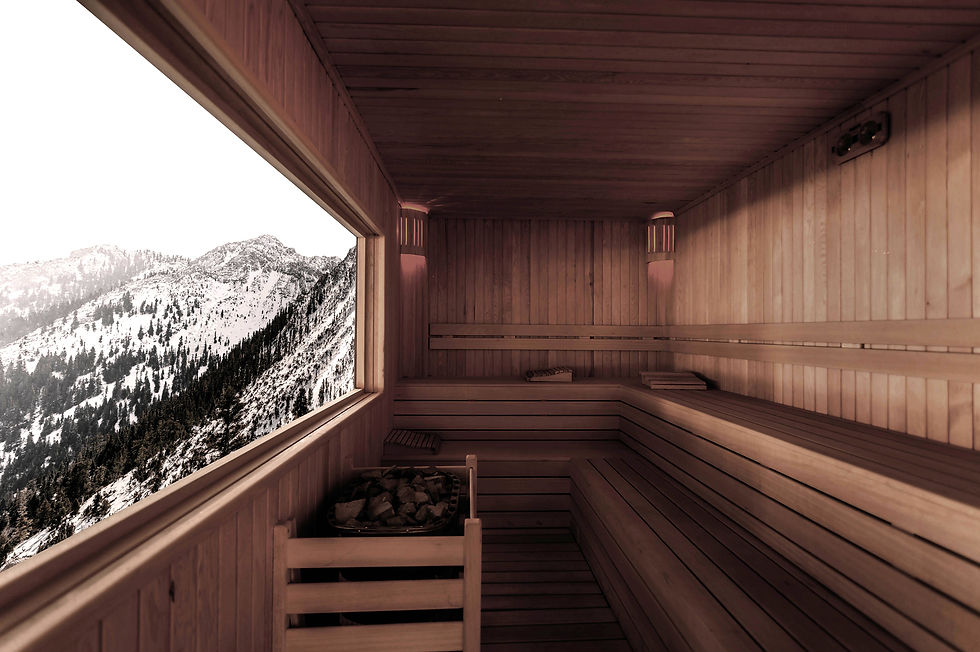 Sauna with View_edited.jpg