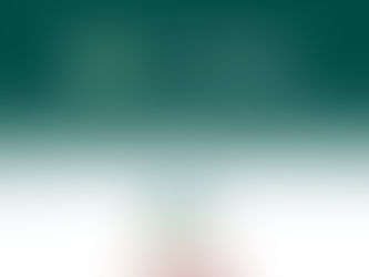 Partnerschaft zwischen Mergin Maps und GIS-Seminare