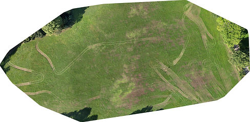 Orthophoto mit Fahrspuren ©Simon Scheper