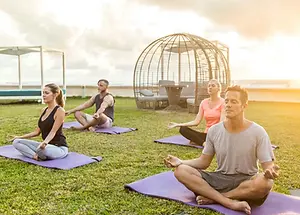 Meditación Guiada - Guided Meditation.webp