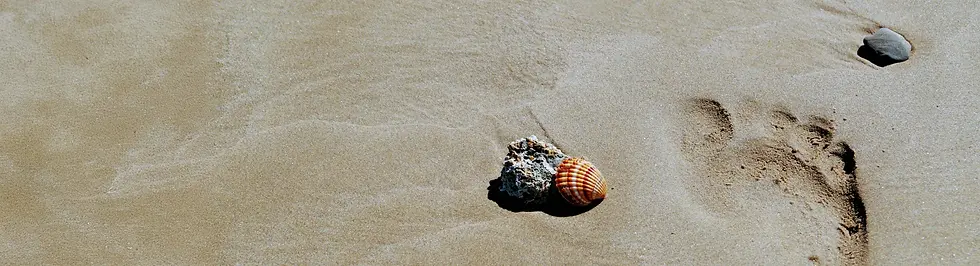 Sand Footprint.webp