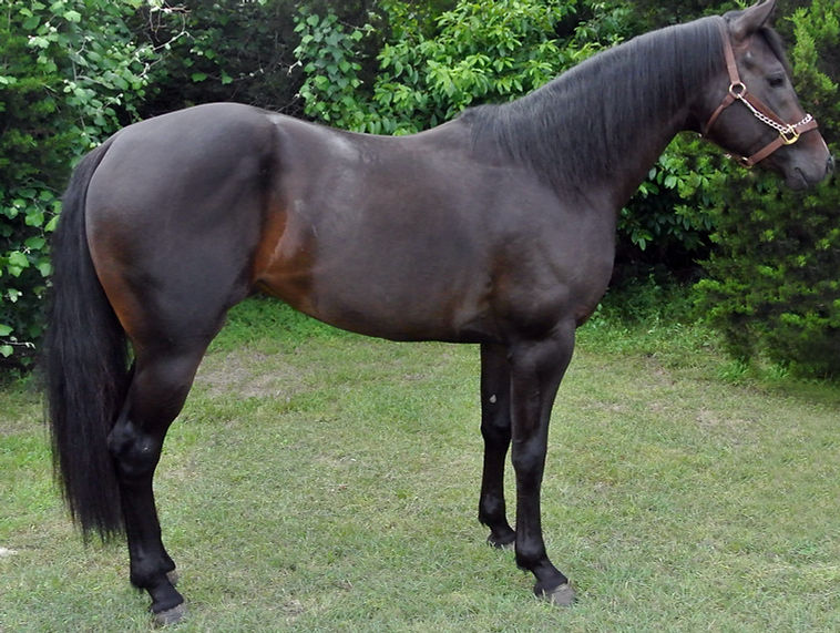 Cachaca Flit profile_edited_edited.jpg