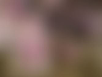 What We’re Following Today May 7, 2020