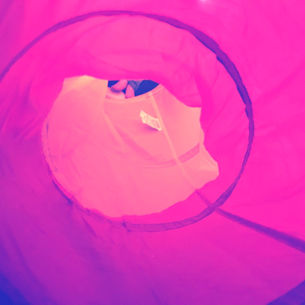 What We’re Following Today December 5, 2019